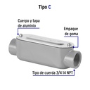 COLET-3-4-C+FC1.jpg