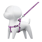 COPE-10 | Paquete de 12 correas con pechera para perro, 1 cm ancho