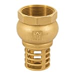 PICHA-1-1/2 | Pichancha con rejilla de latón 1-1/2', Foset