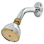 R-509G | Regadera cónica 2-1/2' cromo-oro brazo y chapetón acero