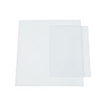 REP-CAREL-913DX | Bolsa con 2 micas para CAREL-913DX (modelo 2020) Expert