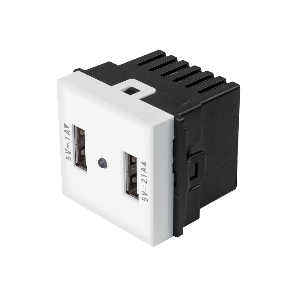 C2USB-TB | Toma con 2 puertos USB de 1.5 módulos, línea Toledo, Basic